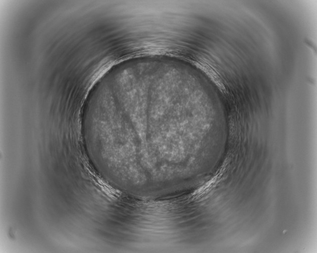 X0000096451023200802071806