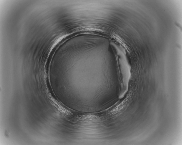 X0000096451024200802071806