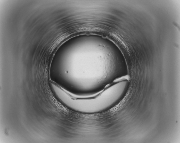 X0000096451025200802071806