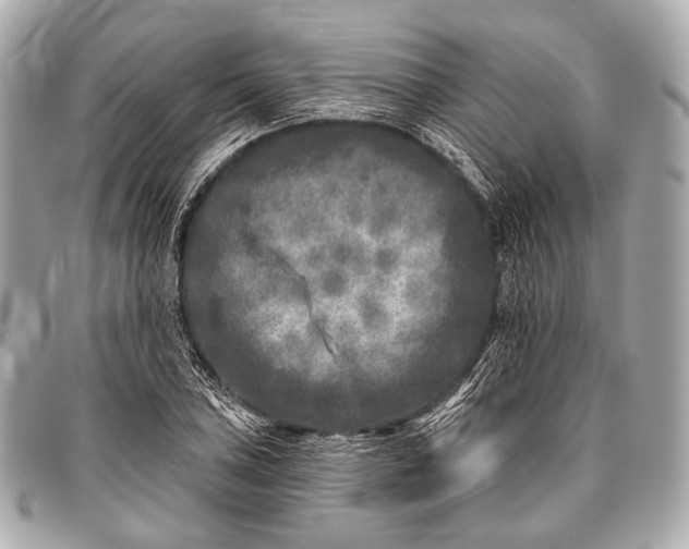 X0000096451027200802071806