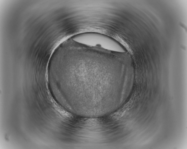 X0000096451028200802071806