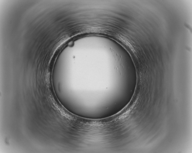 X0000096451029200802071806