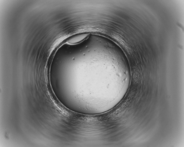 X0000096451030200802071806