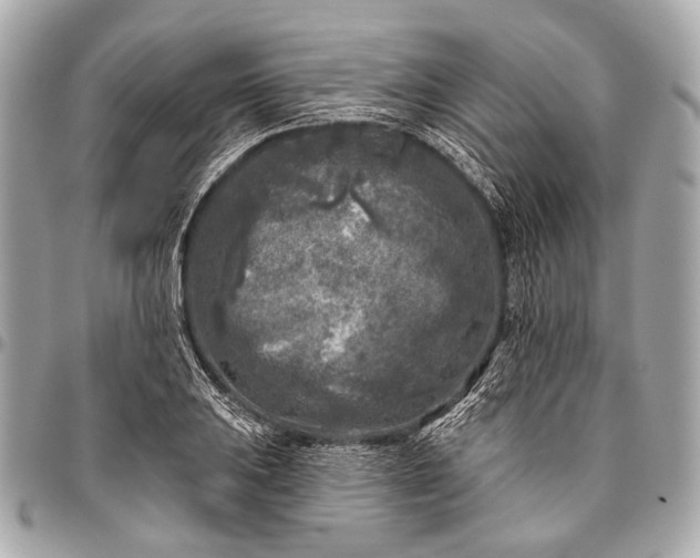 X0000096451031200802071806