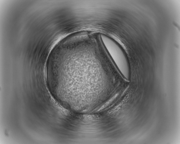 X0000096451032200802071806