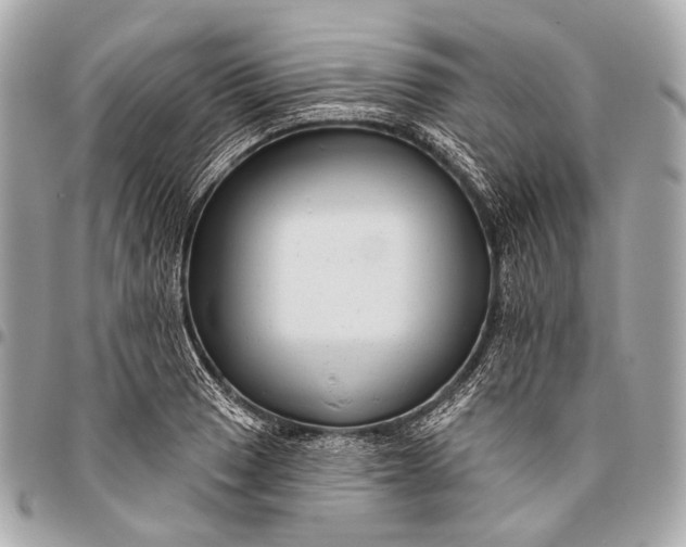 X0000096451033200802071806