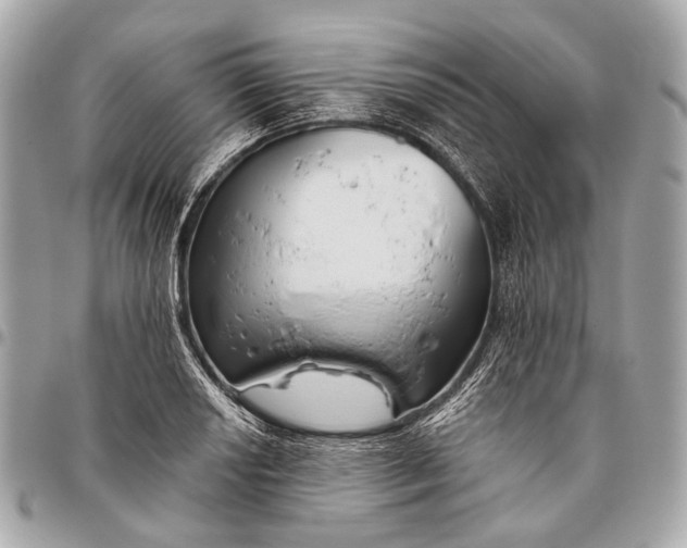 X0000096451034200802071806