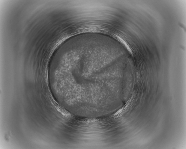 X0000096451035200802071806