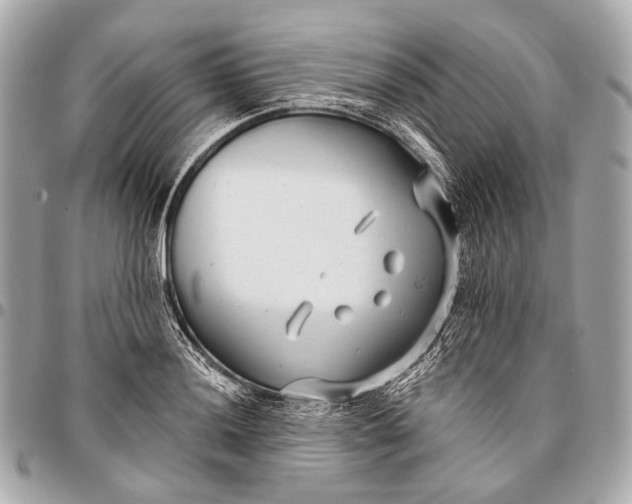 X0000096451036200802071806