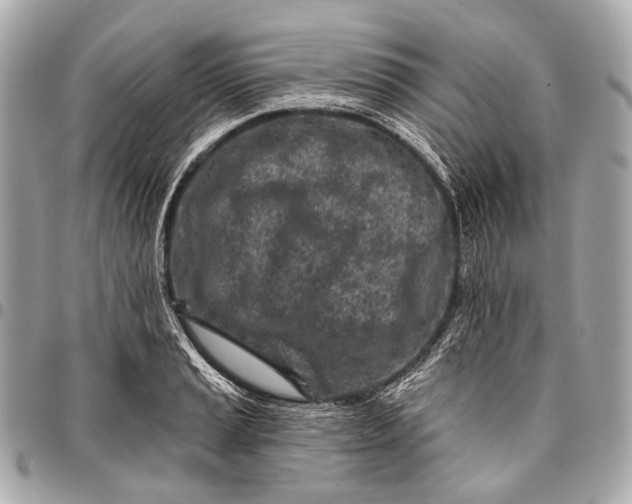 X0000096451037200802071806