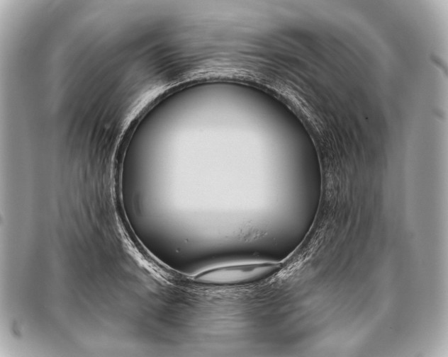 X0000096451038200802071806