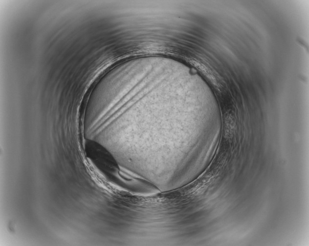 X0000096451039200802071806