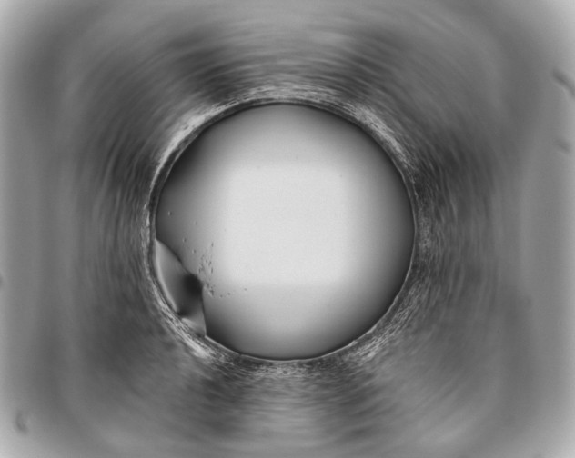 X0000096451040200802071806