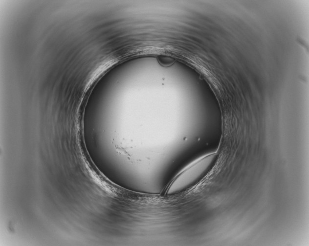 X0000096451042200802071806