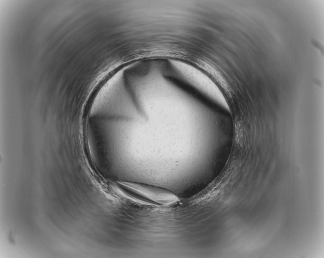 X0000096451043200802071806