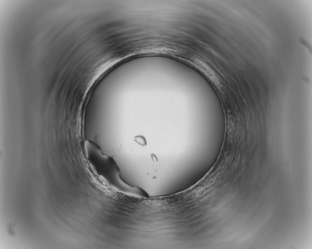 X0000096451044200802071807