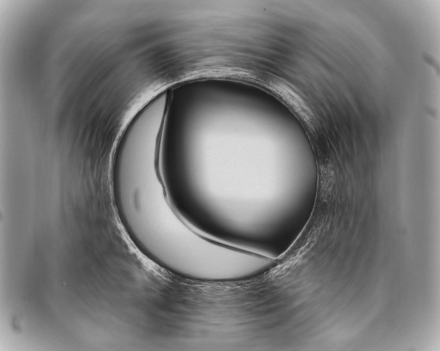 X0000096451046200802071807