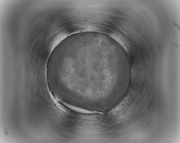 X0000096451047200802071807