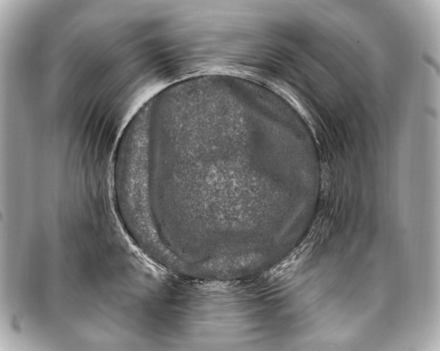 X0000096451048200802071807