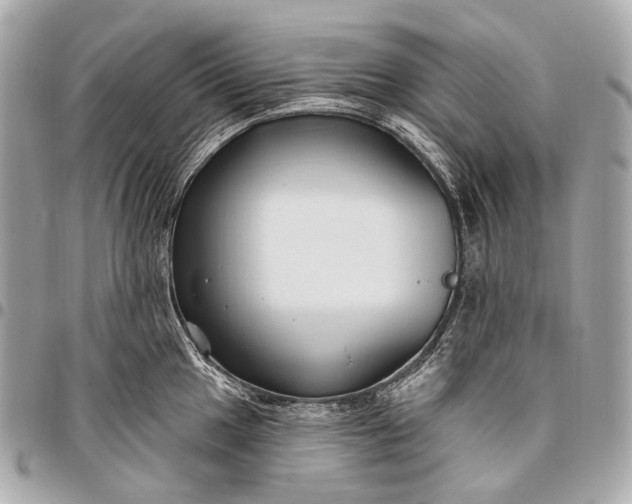 X0000096451049200802071807