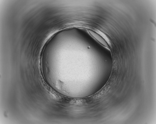 X0000096451051200802071807