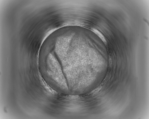 X0000096451052200802071807