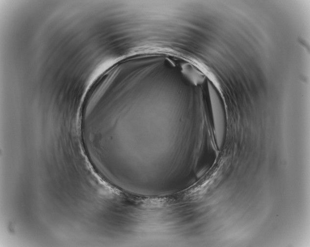 X0000096451053200802071807