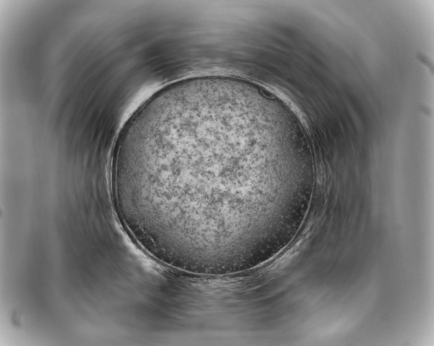 X0000096451054200802071807