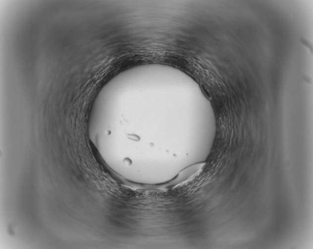 X0000096451057200802071806