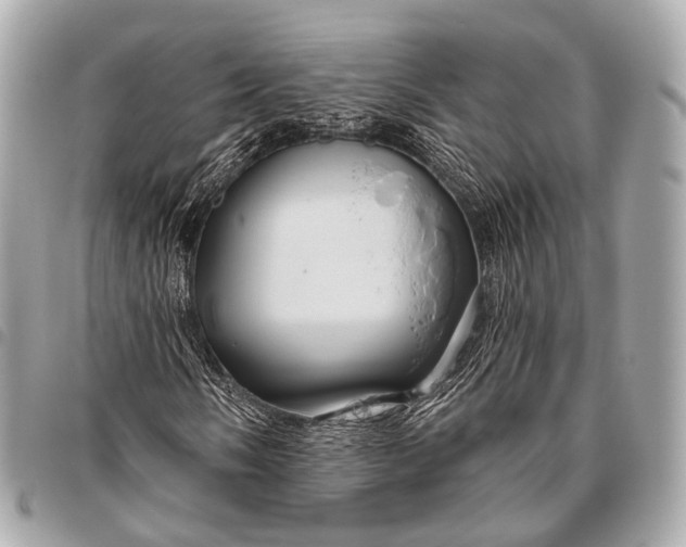 X0000096451058200802071806