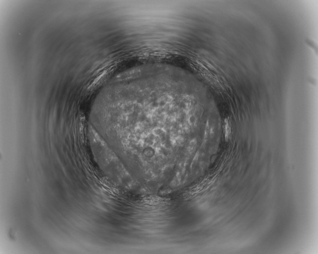 X0000096451059200802071806