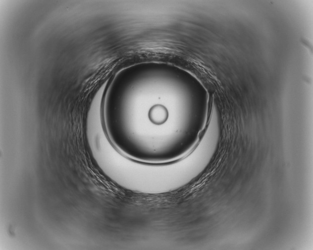 X0000096451061200802071806