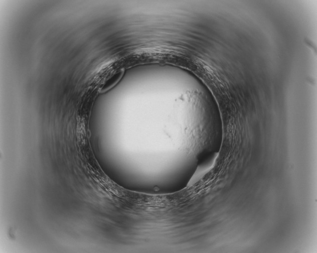 X0000096451062200802071806