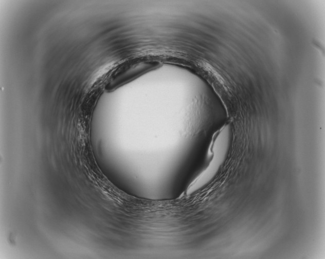 X0000096451064200802071806