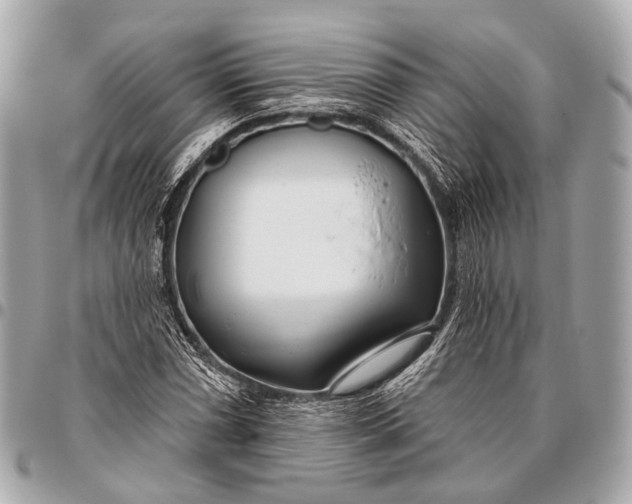 X0000096451066200802071806