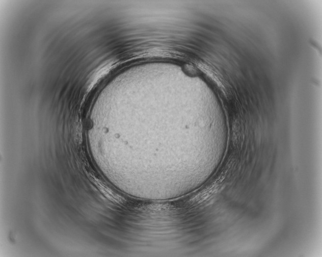 X0000096451067200802071806