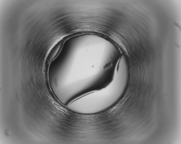 X0000096451068200802071806