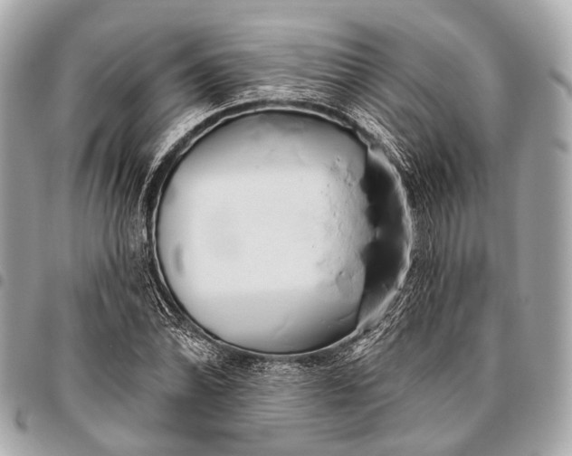 X0000096451070200802071806