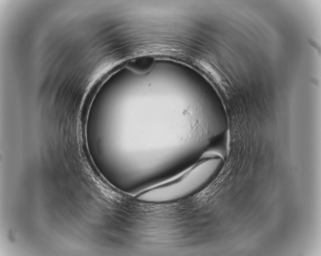 X0000096451072200802071806