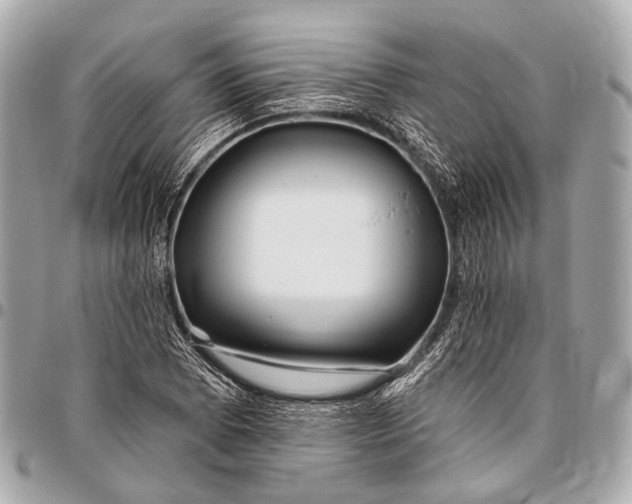 X0000096451073200802071806