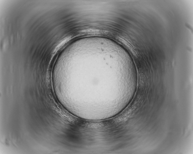 X0000096451074200802071806