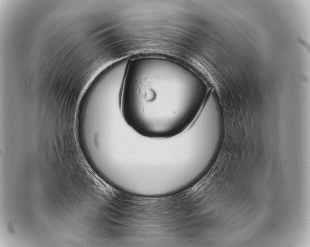 X0000096451076200802071806