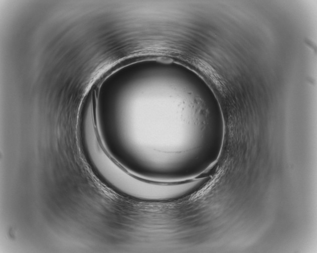 X0000096451077200802071806