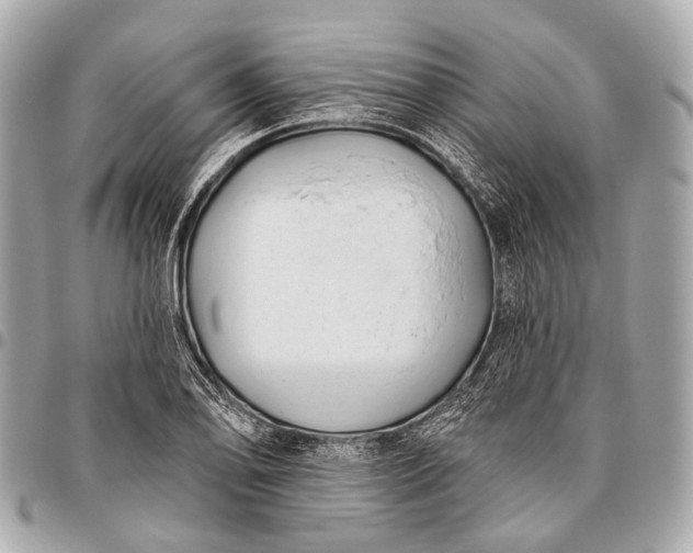 X0000096451078200802071806