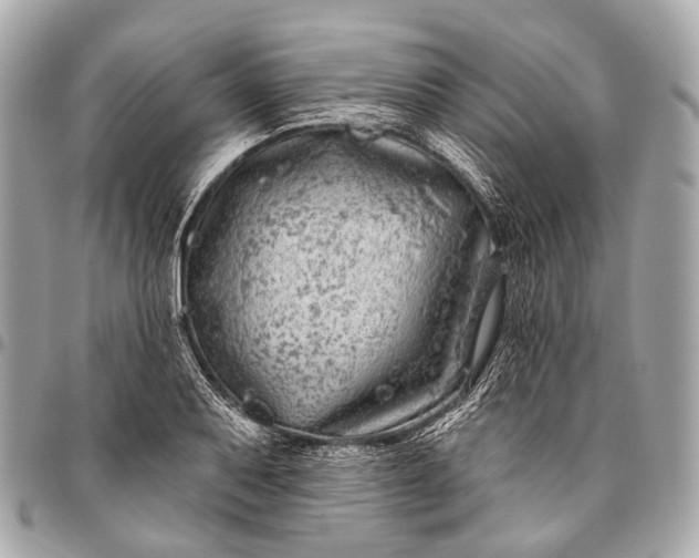 X0000096451079200802071806