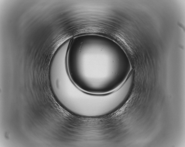 X0000096451081200802071806