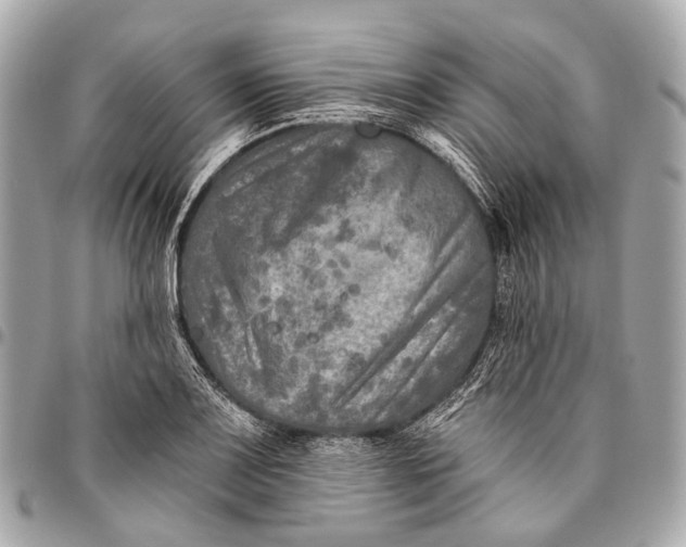 X0000096451083200802071806