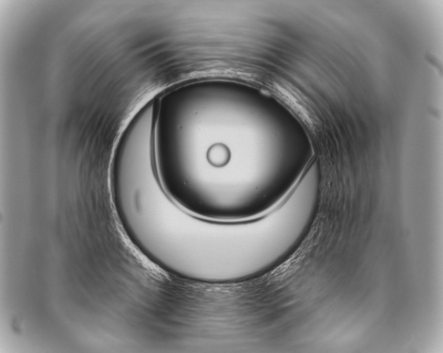 X0000096451084200802071806