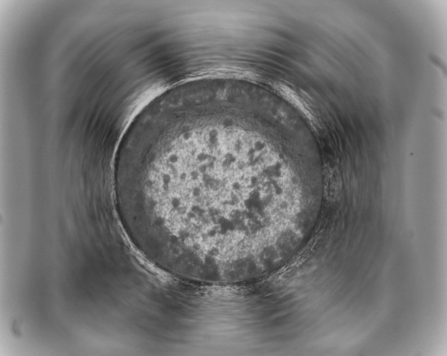 X0000096451087200802071806