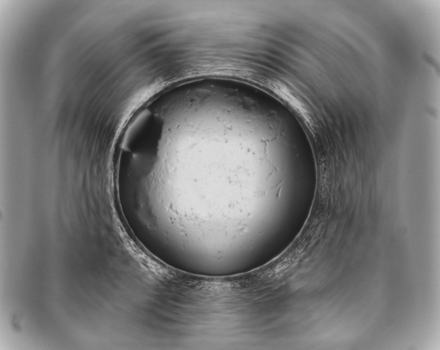 X0000096451088200802071806